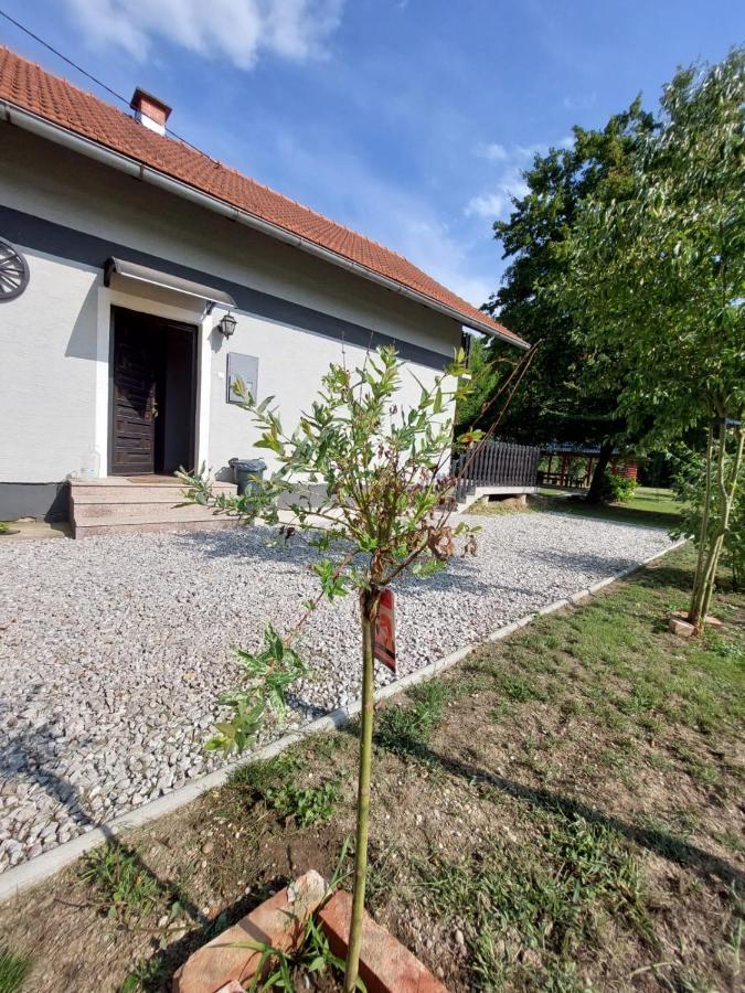 House Kupa Mb Villa Petrinja ภายนอก รูปภาพ