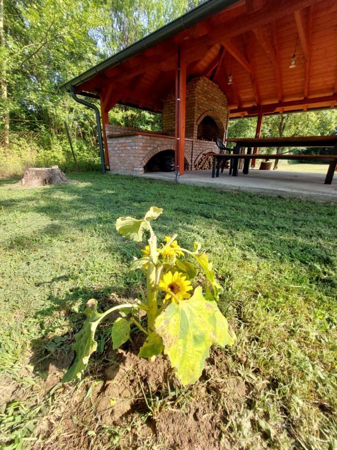 House Kupa Mb Villa Petrinja ภายนอก รูปภาพ