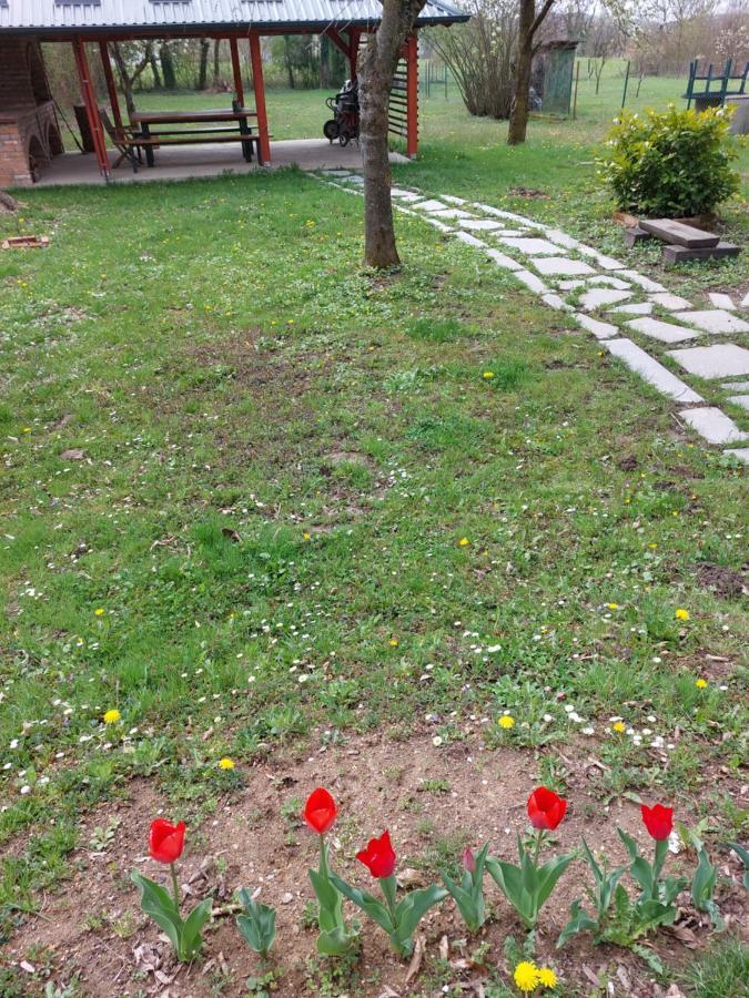 House Kupa Mb Villa Petrinja ภายนอก รูปภาพ