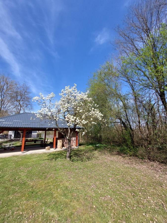 House Kupa Mb Villa Petrinja ภายนอก รูปภาพ